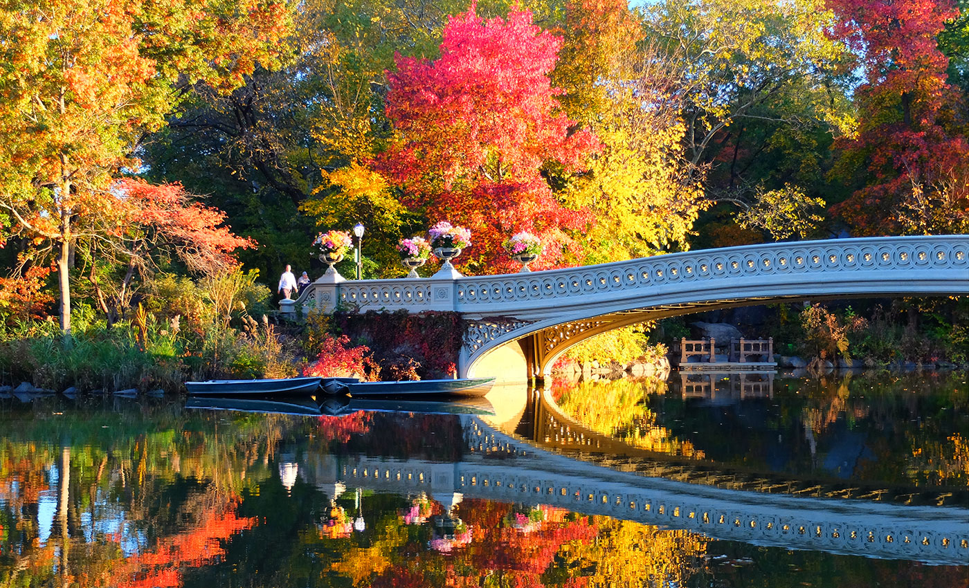 Central Park - Bow Bridge Central Park - Bow Bridge