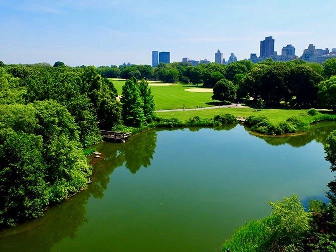 Central Park - The Great Lawn