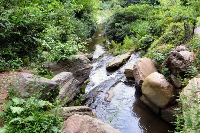 Central Park em Nova York - Cachoeira Central Park em Nova York - Cachoeira