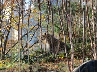 Central Park em Nova York - Central Park Zoo Central Park em Nova York - Central Park Zoo