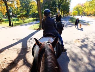 Central Park em Nova York - Passeio a Cavalo Central Park em Nova York - Passeio a Cavalo