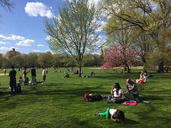 Central Park em Nova York - Pessoas no Great Lawn Central Park em Nova York - Pessoas no Great Lawn