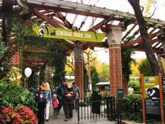 Central Park em Nova York - Zoo